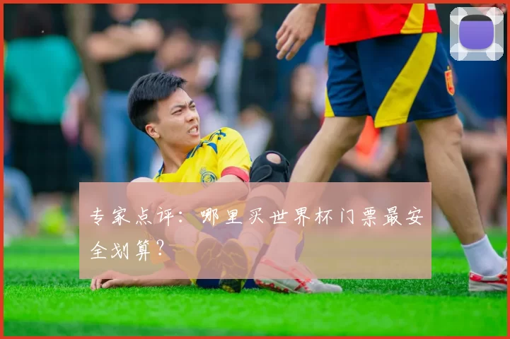 专家点评：哪里买世界杯门票最安全划算？
