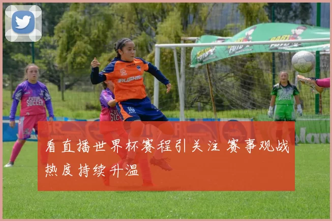 看直播世界杯赛程引关注 赛事观战热度持续升温