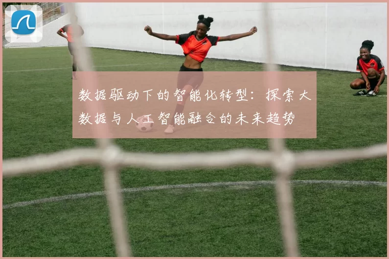 数据驱动下的智能化转型：探索大数据与人工智能融合的未来趋势