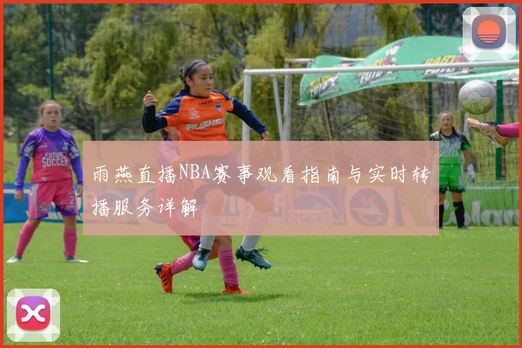 雨燕直播NBA赛事观看指南与实时转播服务详解