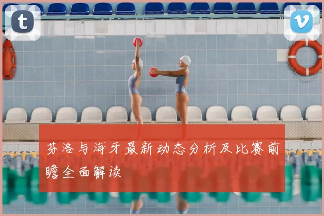 芬洛与海牙最新动态分析及比赛前瞻全面解读