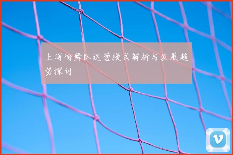 上海街舞队运营模式解析与发展趋势探讨