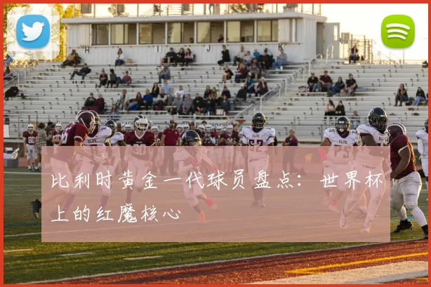 比利时黄金一代球员盘点：世界杯上的红魔核心