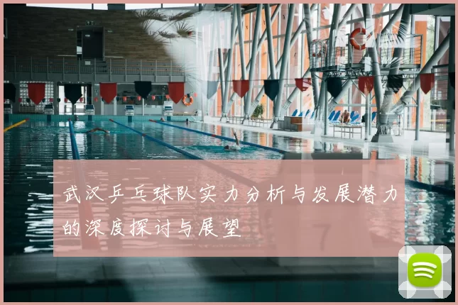 武汉乒乓球队实力分析与发展潜力的深度探讨与展望