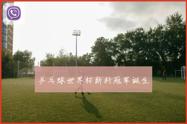 乒乓球世界杯新科冠军诞生