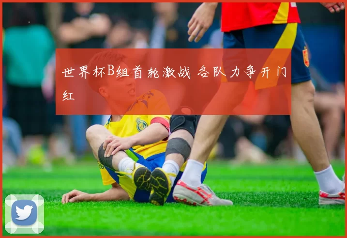 世界杯B组首轮激战 各队力争开门红