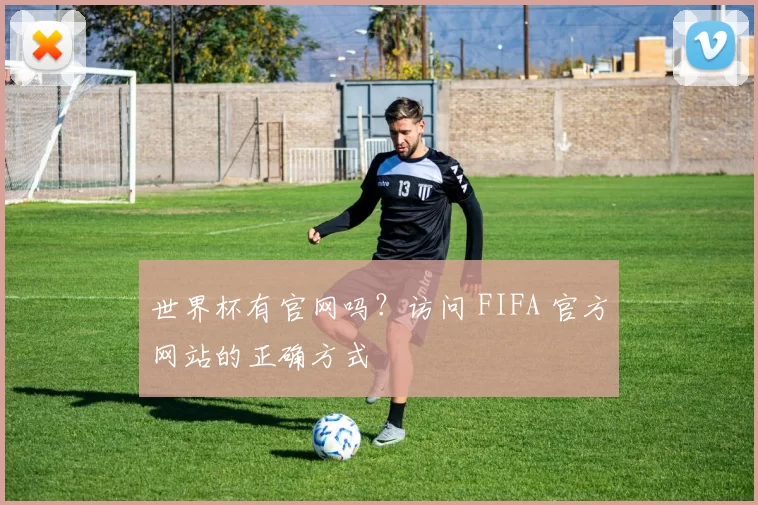 世界杯有官网吗？访问 FIFA 官方网站的正确方式