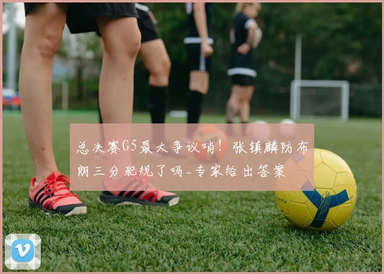 总决赛G5最大争议哨！张镇麟防布朗三分犯规了吗_专家给出答案