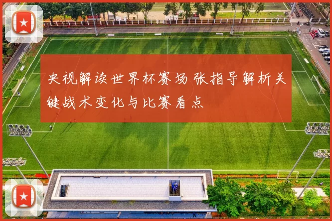 央视解读世界杯赛场 张指导解析关键战术变化与比赛看点