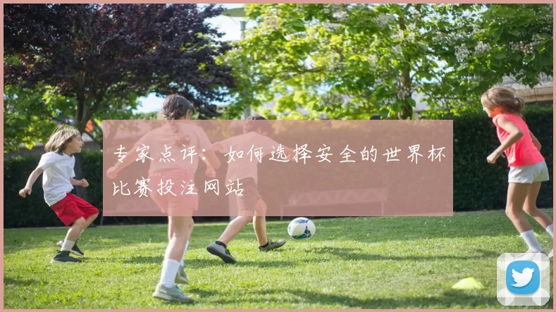 专家点评:如何选择安全的世界杯比赛投注网站