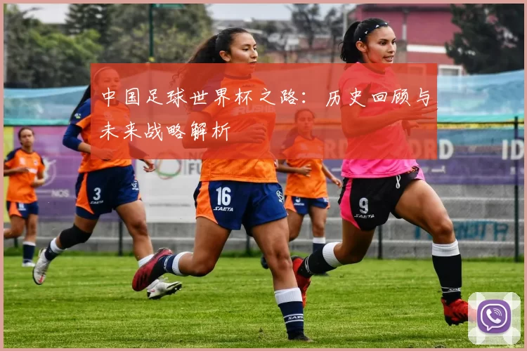 中国足球世界杯之路：历史回顾与未来战略解析