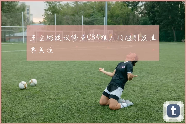 王立彬提议修正CBA准入门槛引发业界关注